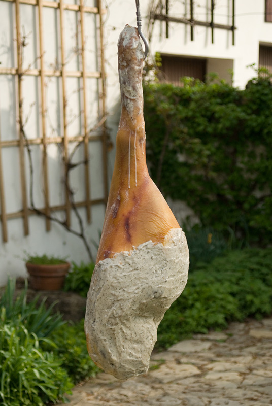 2013050316,3kg-Hausschweinkeule-wird-mit-Schweineschmalz-versiegelt012.jpg