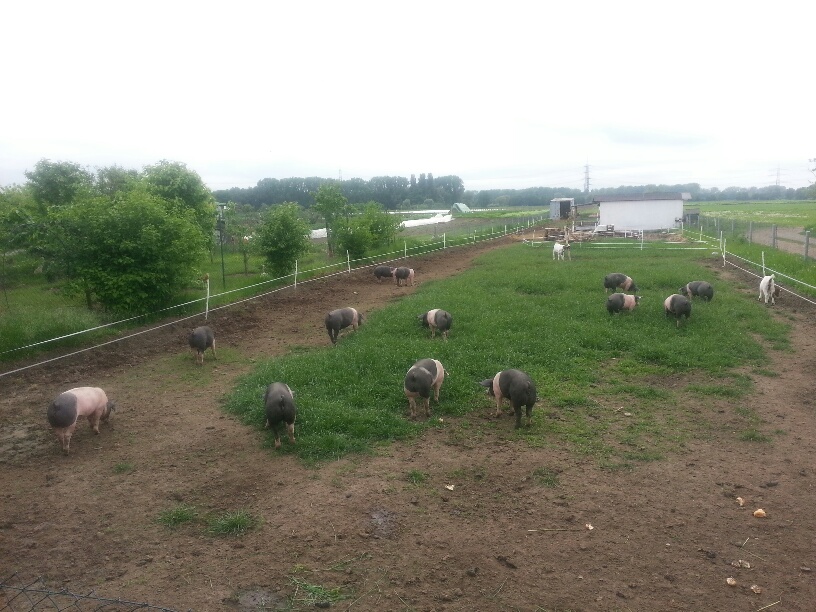 20130517_191035_resized.jpg