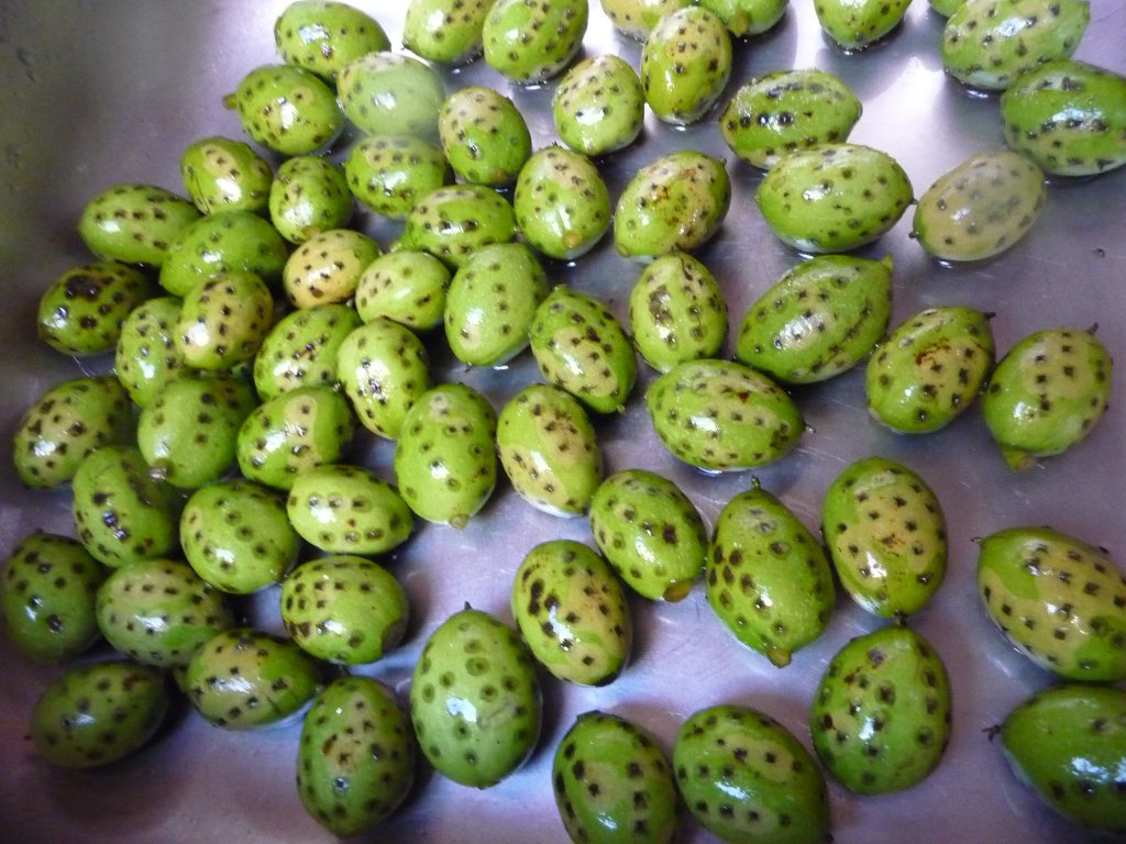 20130713_03.JPG