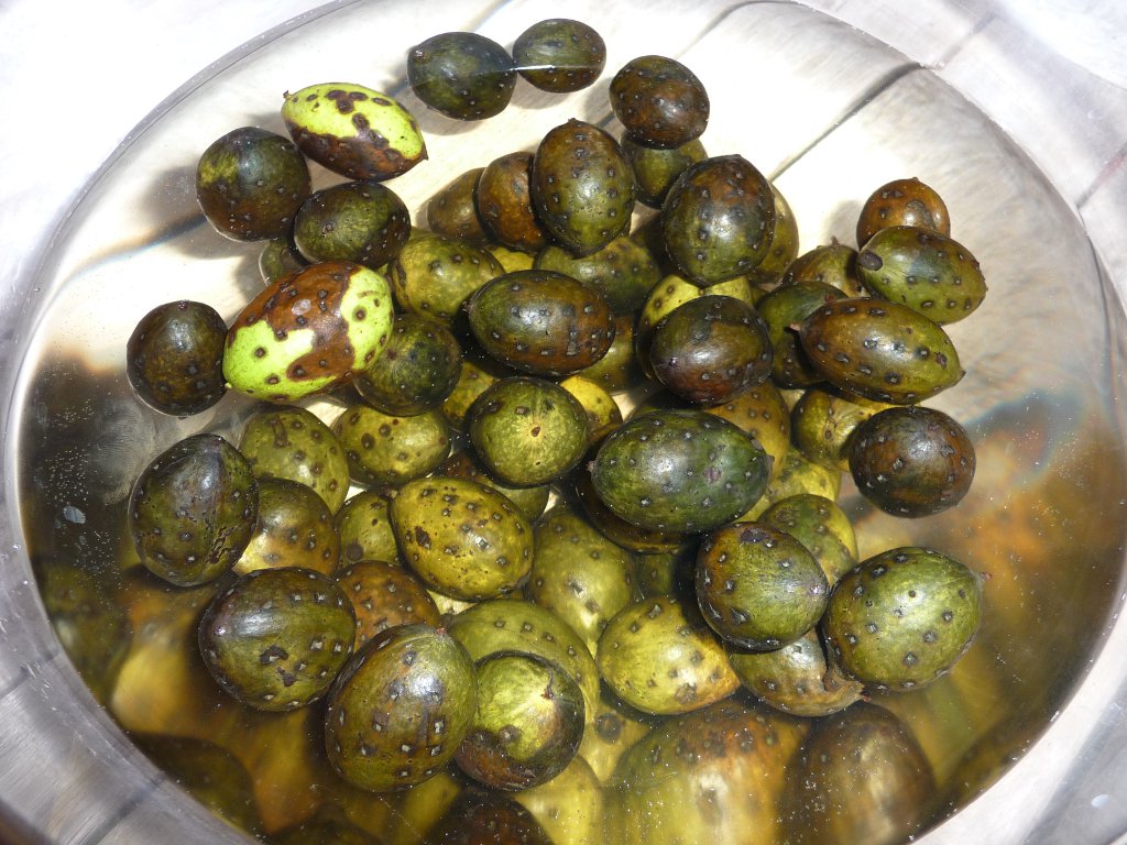 20130718_Nuts.JPG
