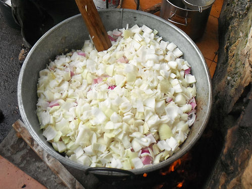 cebollas11.jpg
