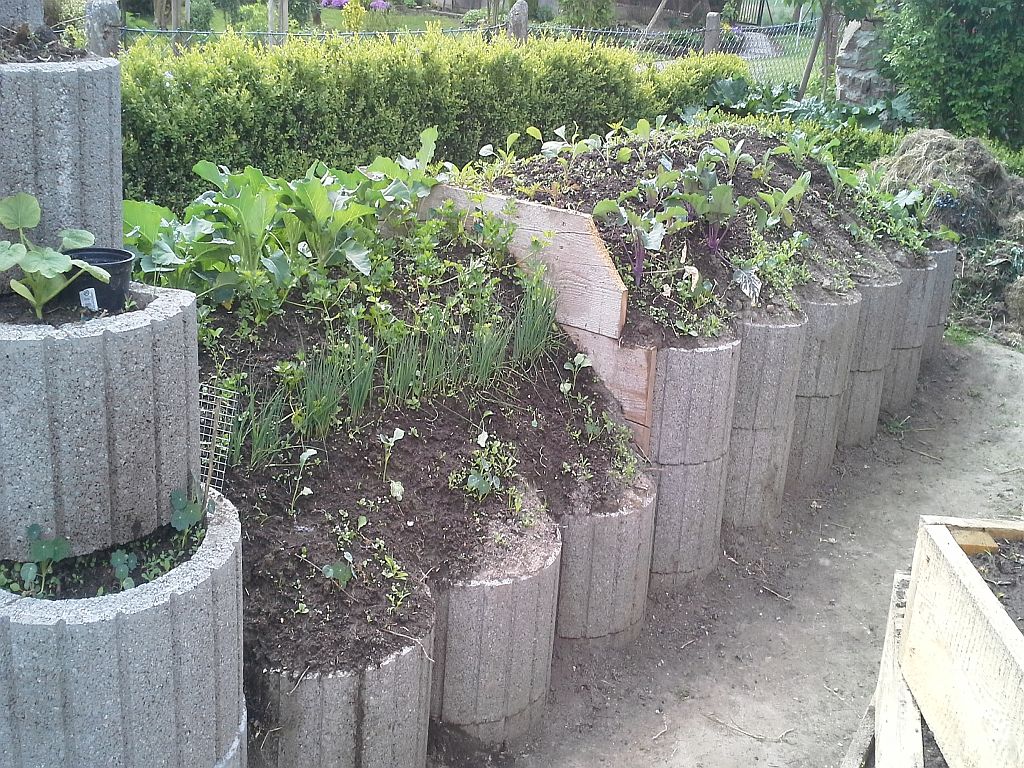 20150521_104700.jpg
