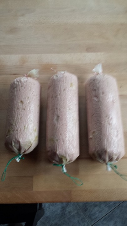 Pilzwurst in Sterildarm.jpg