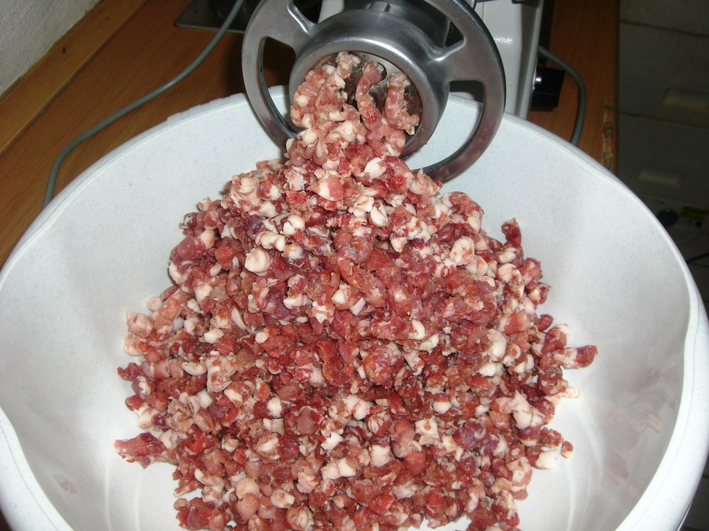 NeueSalami 039.jpg