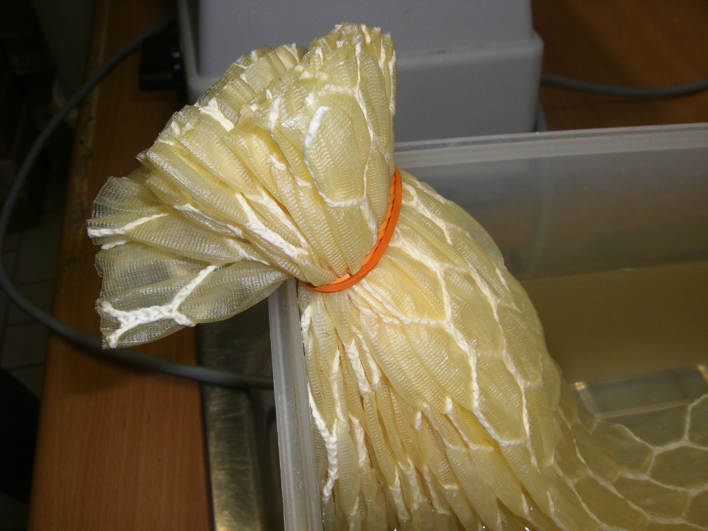 NeueSalami 048.jpg