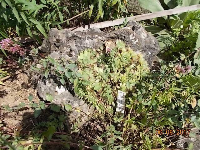 DSCN2416.JPG