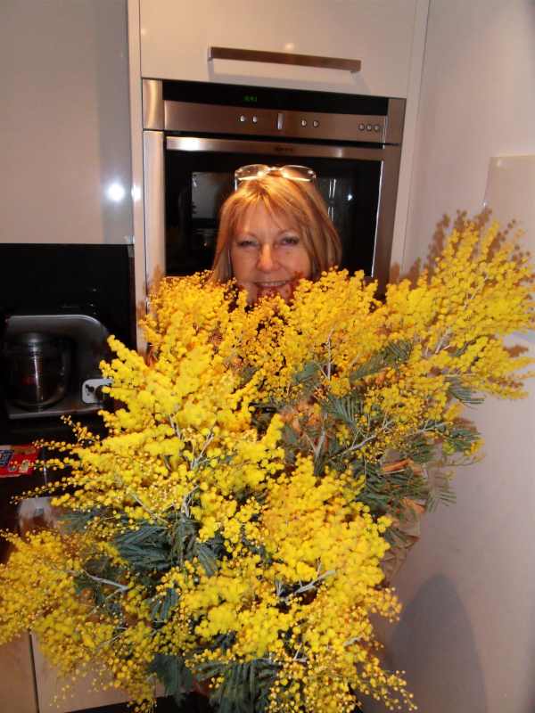 mimosea.jpg