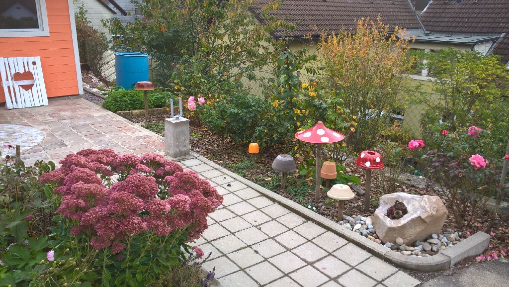 WP_20171001_11_26_28_Pro.jpg
