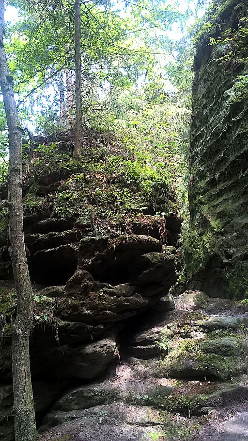 WP_20190808_14_06_44_Pro.jpg