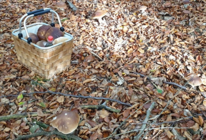 20201204_075822.jpg