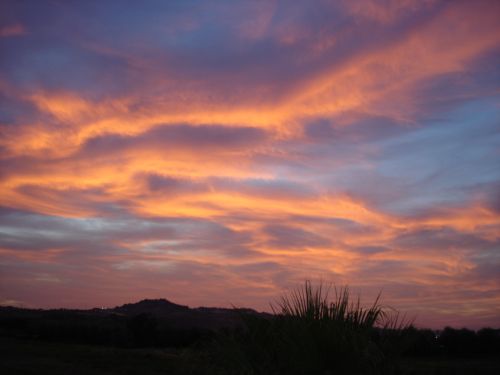 DSC02655.JPG